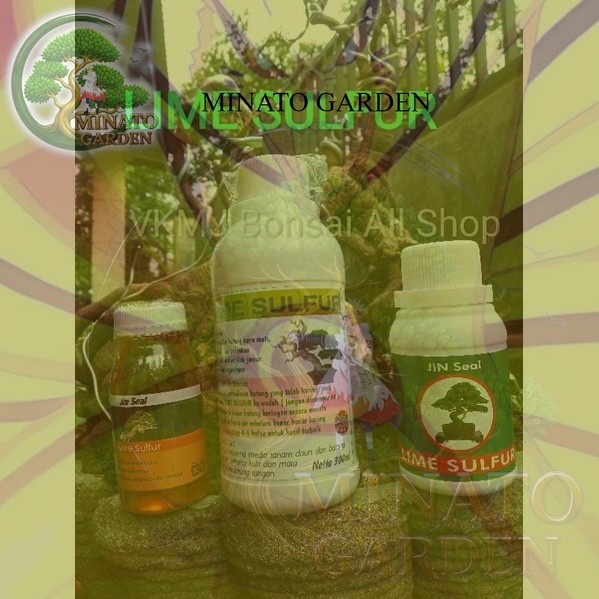 MG - LIME SULFUR BONSAI