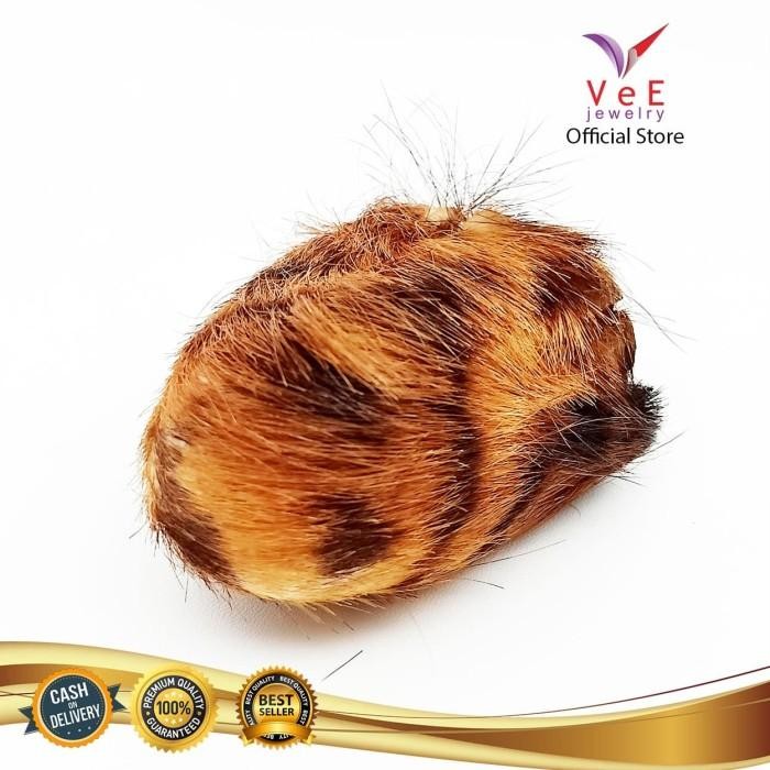 Kantung Macan Kulit Loreng Bertuah - VeE Kantong Macan Barang Antik