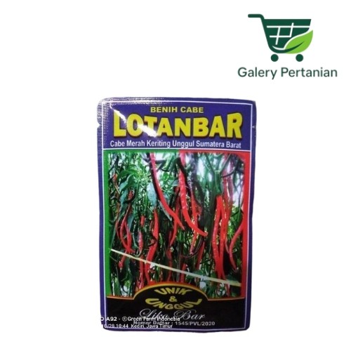 LOTANBAR 10gr Benih Cabe Keriting Original LOKAL Sumatera Barat Bibit CMK ±2200 Biji