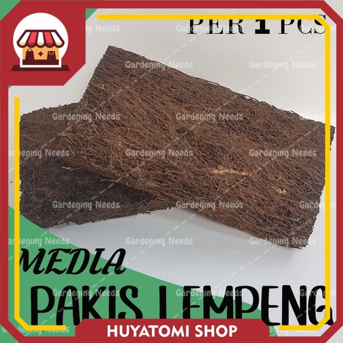 Promo Media Pakis Lempeng / Media Anggrek / Pakis Kotak