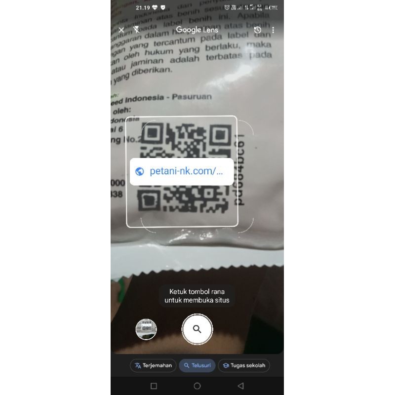 ARFSHOP benih jagung NK perkasa 6172  #bibit jagung #benih perkasa #jagung perkasa#NK perkasa 6172