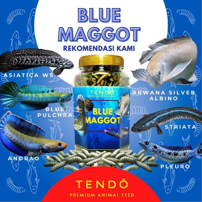 PROMO Pakan Makanan Ikan Channa Barca Auranti Pulchra Maggot Kering Tendo - Blue