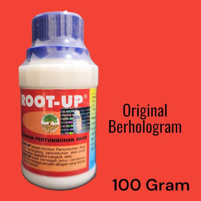 ROOT UP
