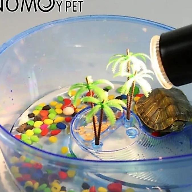 Kandang Wadah Tempat Bak Kura Kura Air Brazil Res Turtle Tank Plastik Murah Termurah Bisa Cod Lucky 
