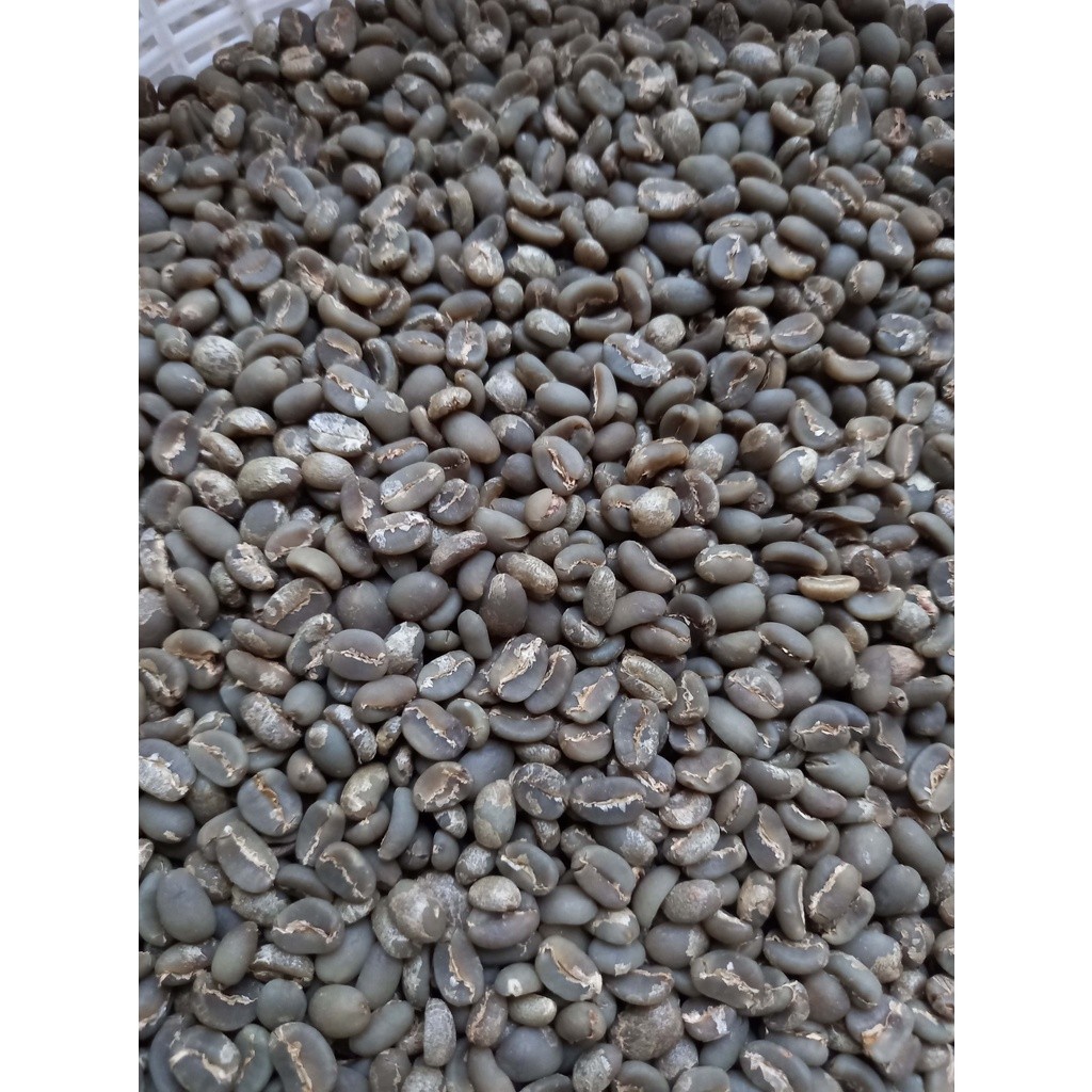 

JAMIN MURAH !!!Kopi Biji/Green Bean Arabika Toraja Mamasa Semi Wash Grade 1 1KG(BISA LANGSUNG ORDER)