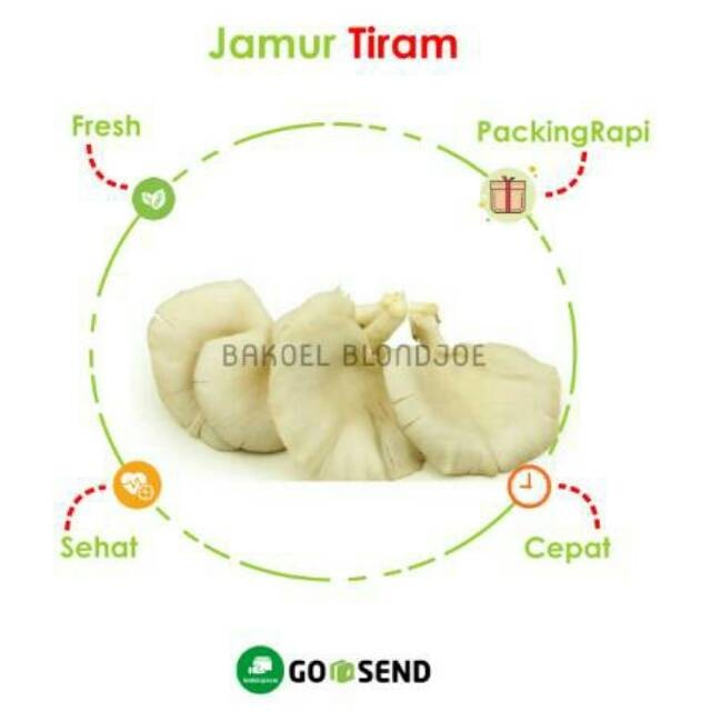 

JAMUR TIRAM PACK +-100GRAM / OYSTER MUSHROOM / FRESH VEGETABLES / VEGETABLE / SAYUR SAYURAN SEGAR BEST SELLER