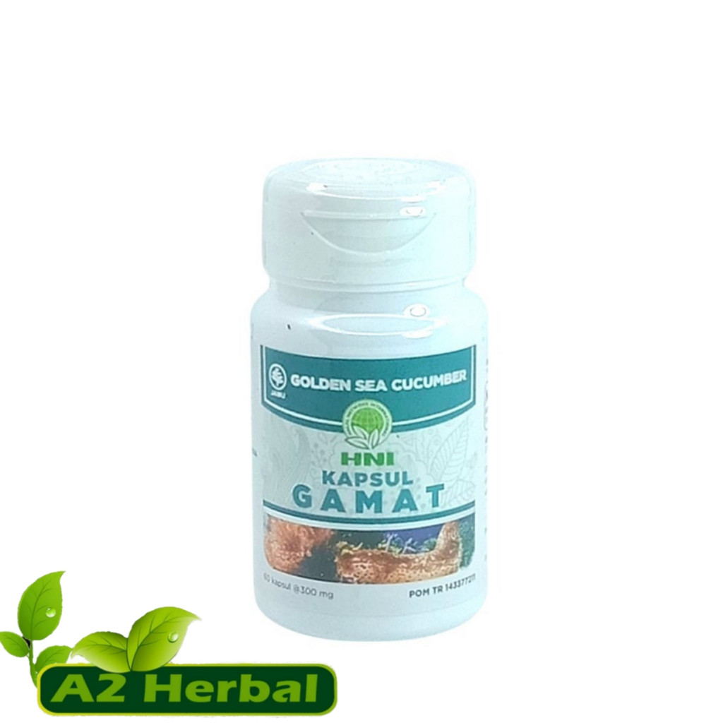 Gamat Sea Cucumber Golden HNI | Kapsul Gamat Emas Ekstrak Ikan Teripang HNI 60 Kapsul