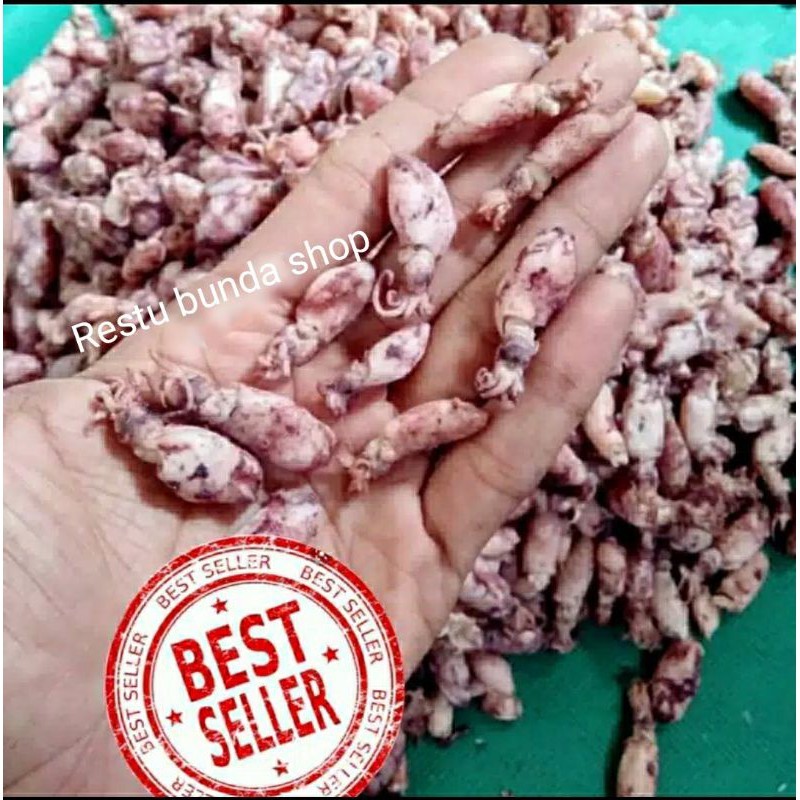 

BABY CUMI PREMIUM 500gr / ikan Asin