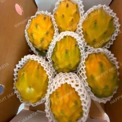 

Buah naga kuning manis / dragon fruit yellow import 1 kg - 1 kg