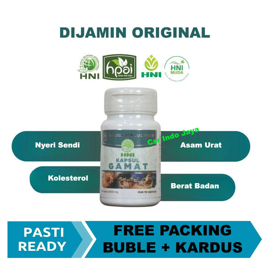 Kapsul Gamat HNI HPAI Original Teripang Emas