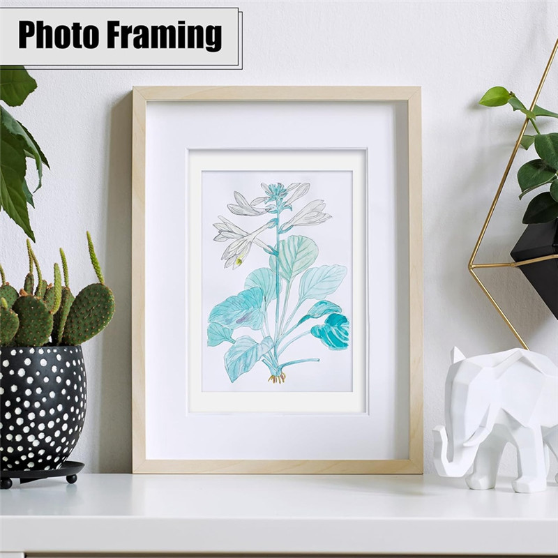 

AB66-50 Pack Foam Boards 1/8 Inch Thickness Foam Poster Boards For Presentation Board For School Crafts Office Art Projects