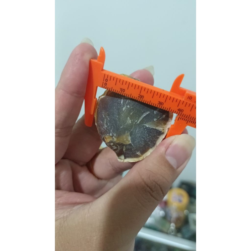 TERASHOP asli batu badar emas ring 7