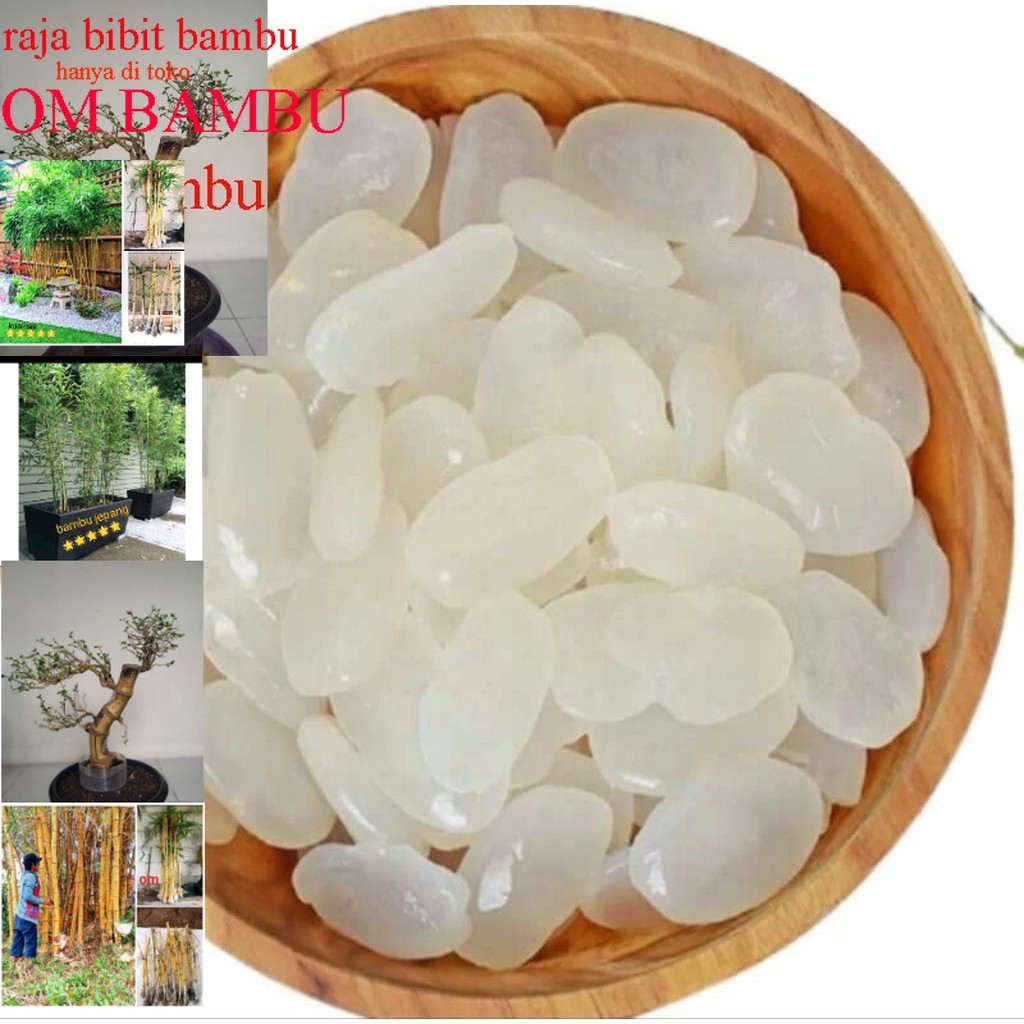 

1kg kolang kaling segar kolang kaling super bahan manisan berkualitas besellr