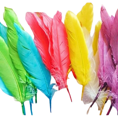 READY Bulu ayam warna warni kostum karnapal pentas /ISI 50 Bulu Ayam Warna / Bulu Ayam / Hiasan Bulu