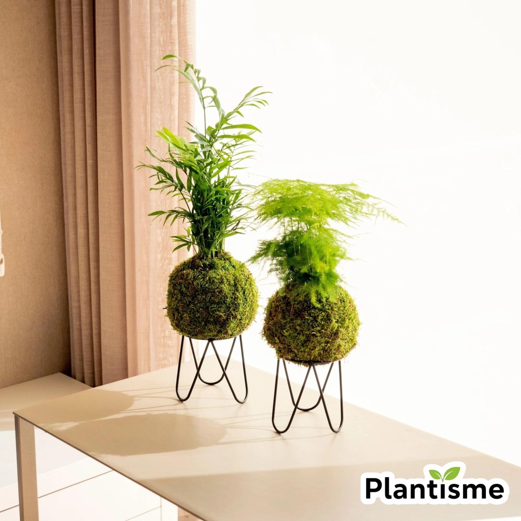Rak Tanaman - Mini Tinkerbell Stand Pot Tatakan Kokedama Mossball Indoor Outdoor Decorative Plant Ho