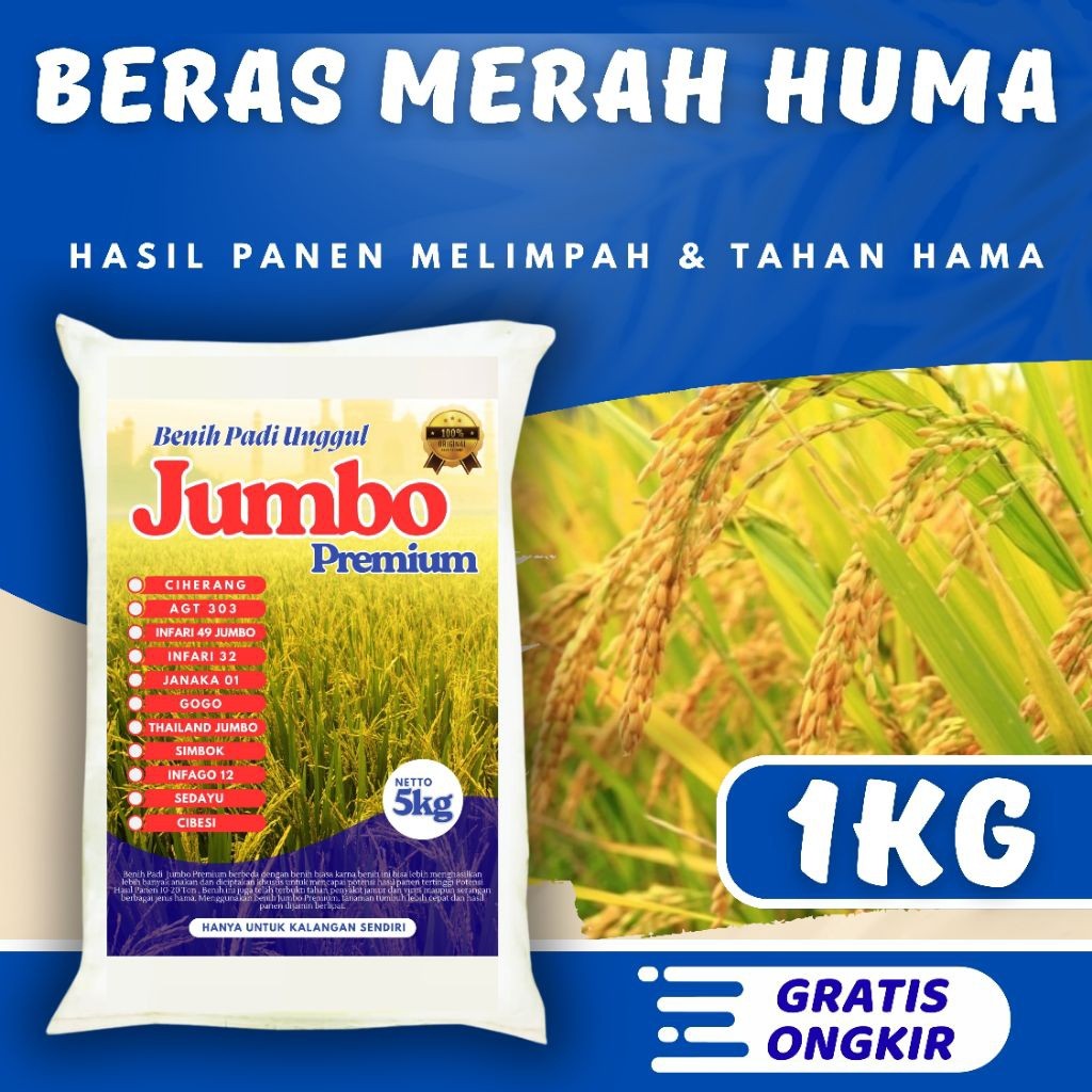 Bibit Padi Unggul Beras Merah Huma 1kg Berkualitas / Anti Hama / Anti Roboh - SRI JAYA FARM