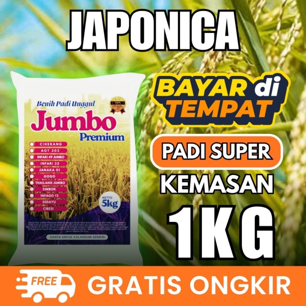 benih padi japonica 1kg