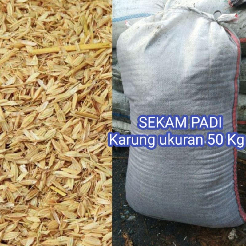Sekam padi / Merang 1 Karung (Ukuran karung 50 Kg)