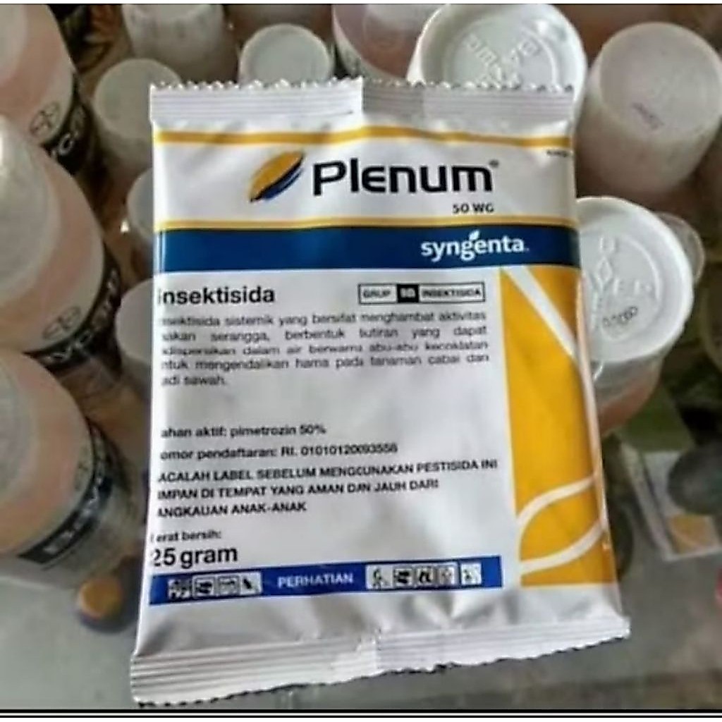 plenum 25gram