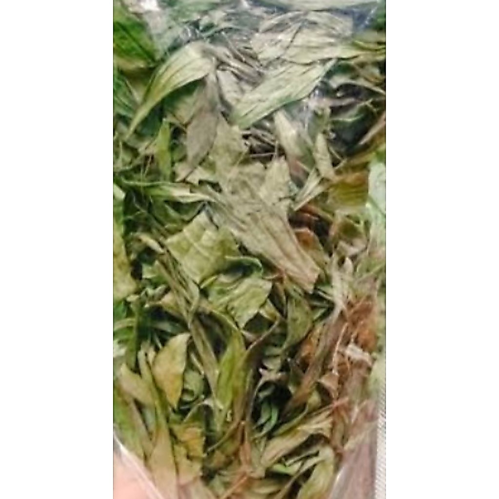 daun prasman kering / daun genjik paket 100 grm