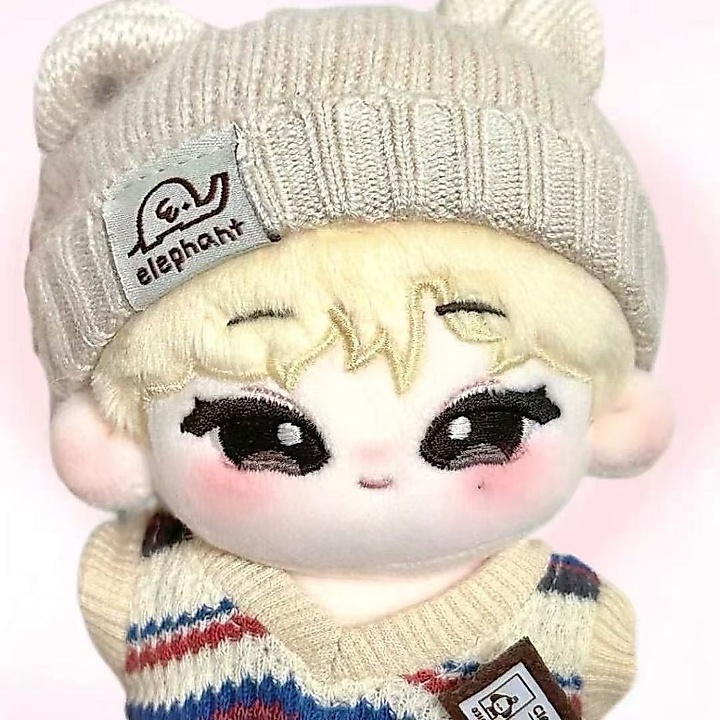 DOLL SUNOO ENHYPEN KIM SEON-WOO ENHYPEN 10CM PREMIUM HUMAN DOLL