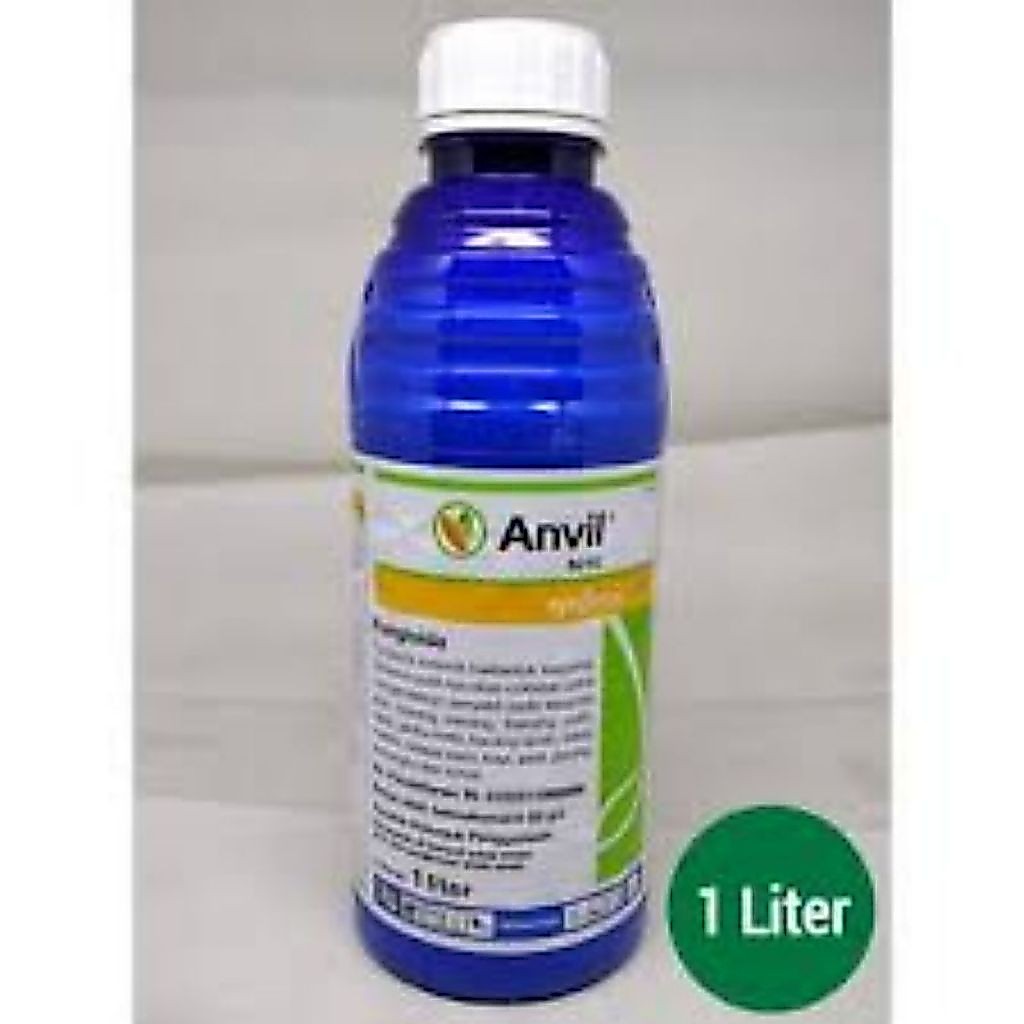 Anvil 50 sc fungisida sistemik kemasan 1liter
