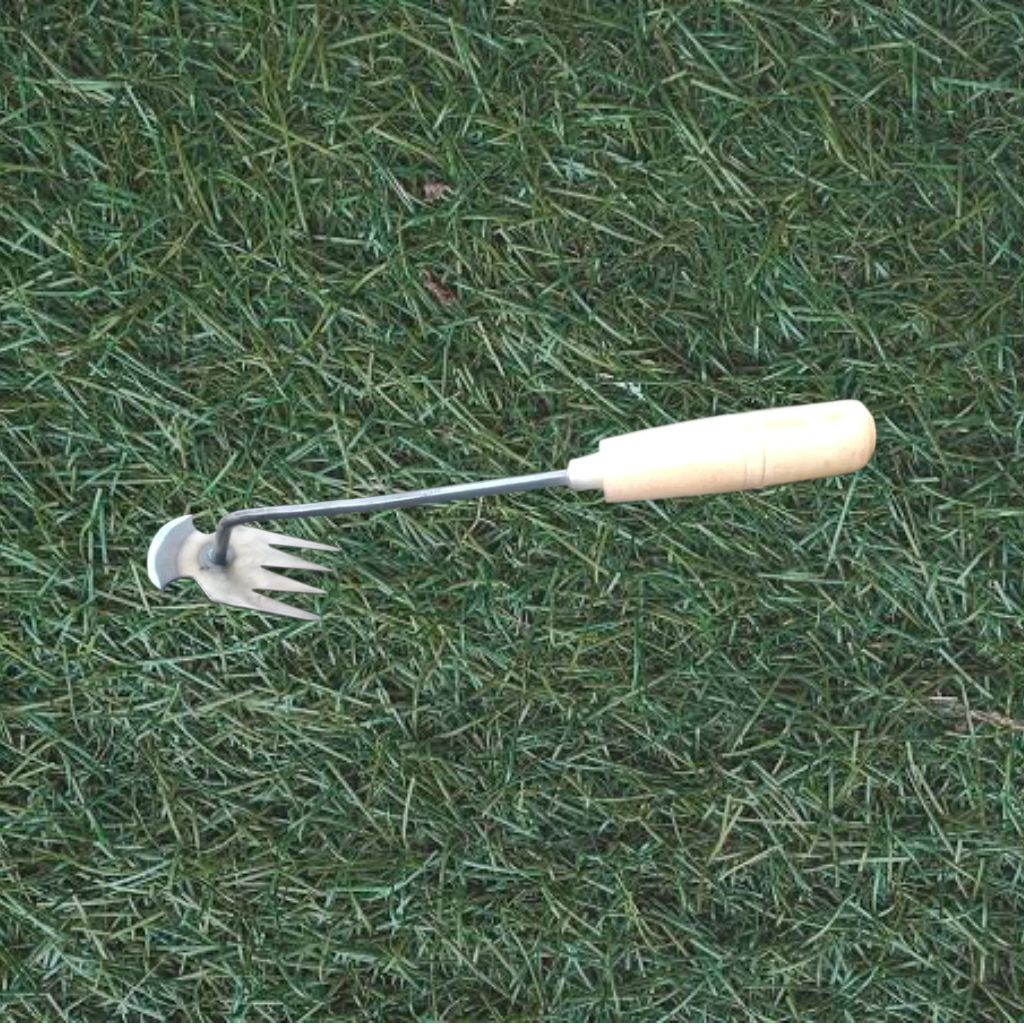 alat pencabut rumput di paving alat garukan rumput di kebun