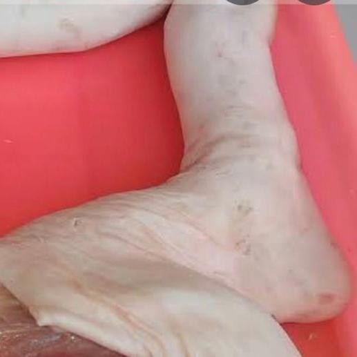 Kaki Belakang Babi 1 Pcs
