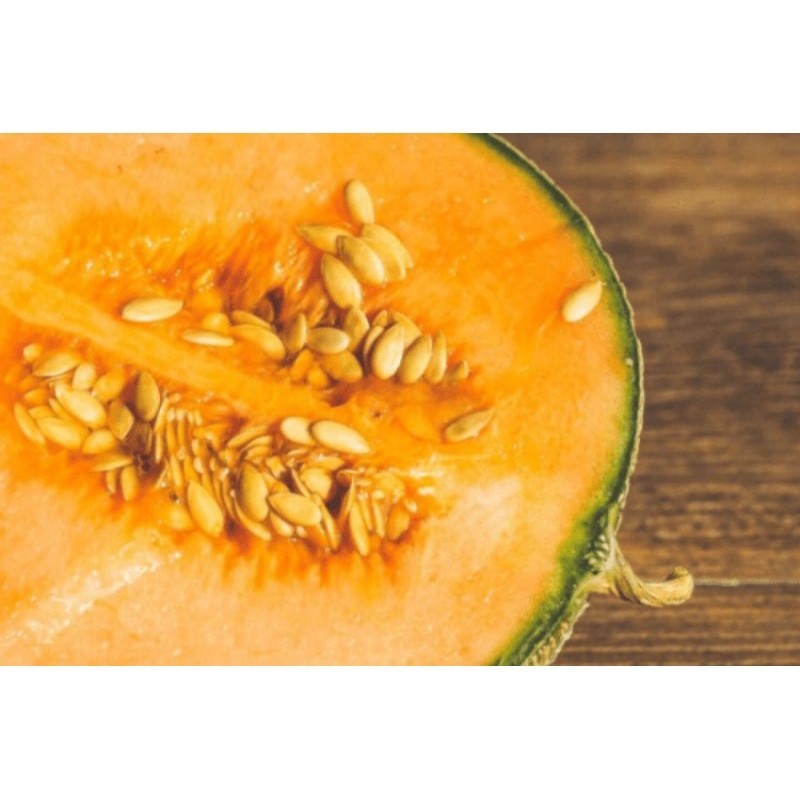 { COD } BENIH/BIJI MELON MADU MANISS