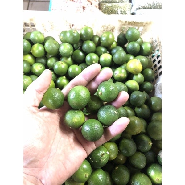 Jeruk Pontianak - Sonkit 500gr