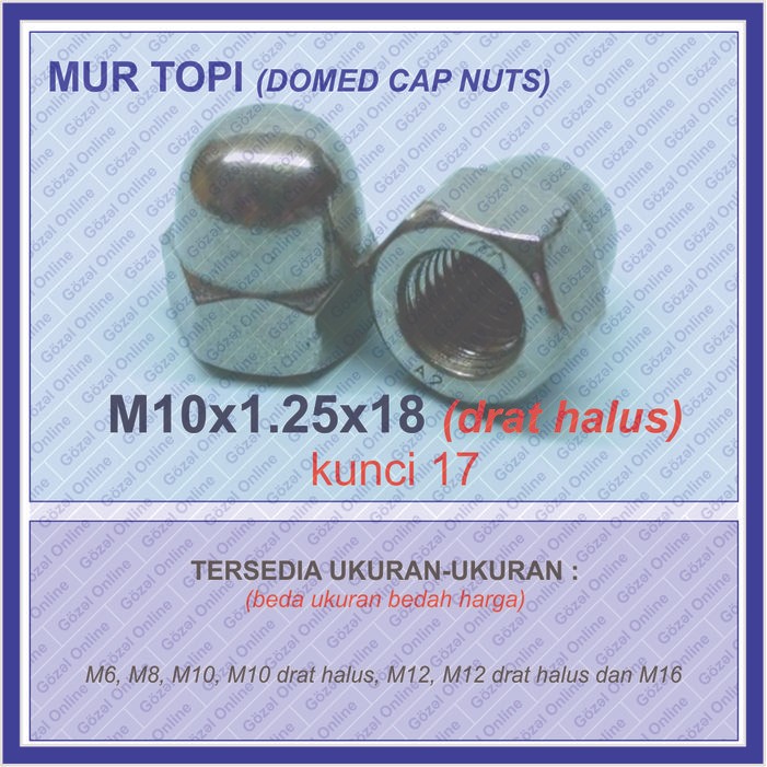 Mur topi SS304 - M10 x1.25mm DRAT HALUS kunci 17 - Stainless steel 304