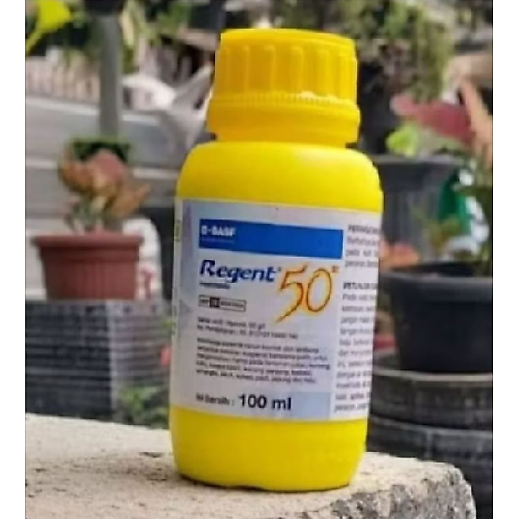 Regent 100 ml