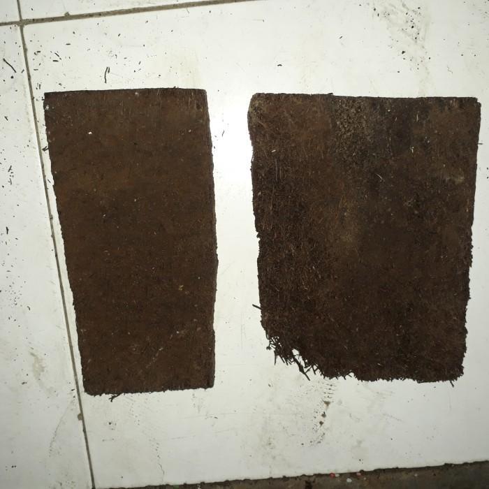 Media tanam pakis papan, pakis lempengan,media anggrek 10 x 20 cm - besar