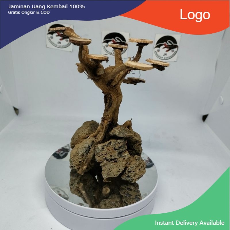 Tebing Bonsai Uk. S Tebing Bonsai Aquarium Tebing bonsai Aquascape