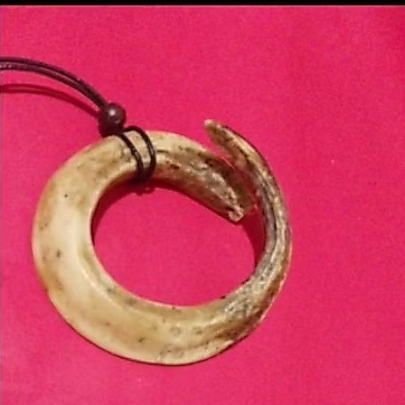 kalung taring babi melingkar ukuran jumbo