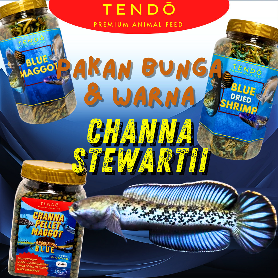 TERLARIS Pakan Ikan Channa Stewartii Booster Warna & Bunga – Premium Maggot Kering Udang Pelet Tendo