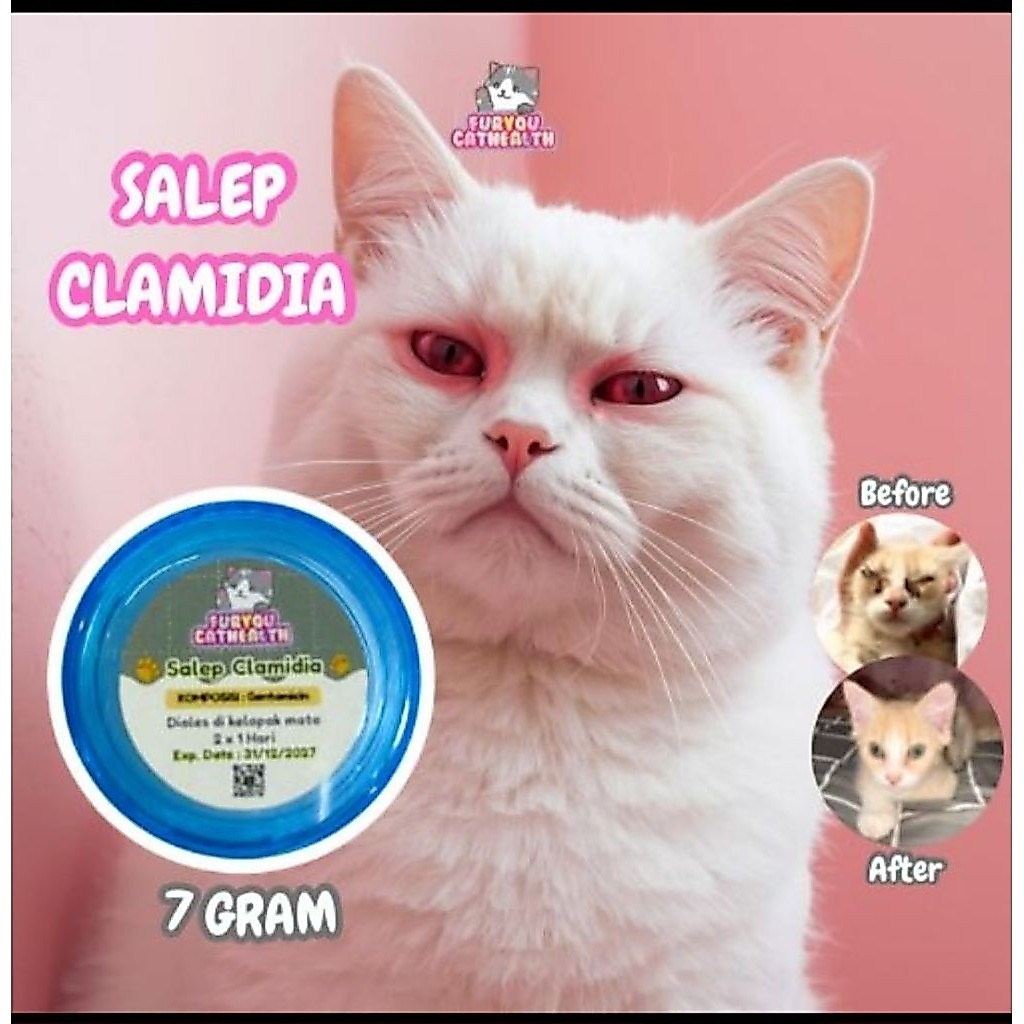 Furyou Salep Clamidia acyclovir clindamycin Oxytetracycline erelamicetin genoint salep mata kucing