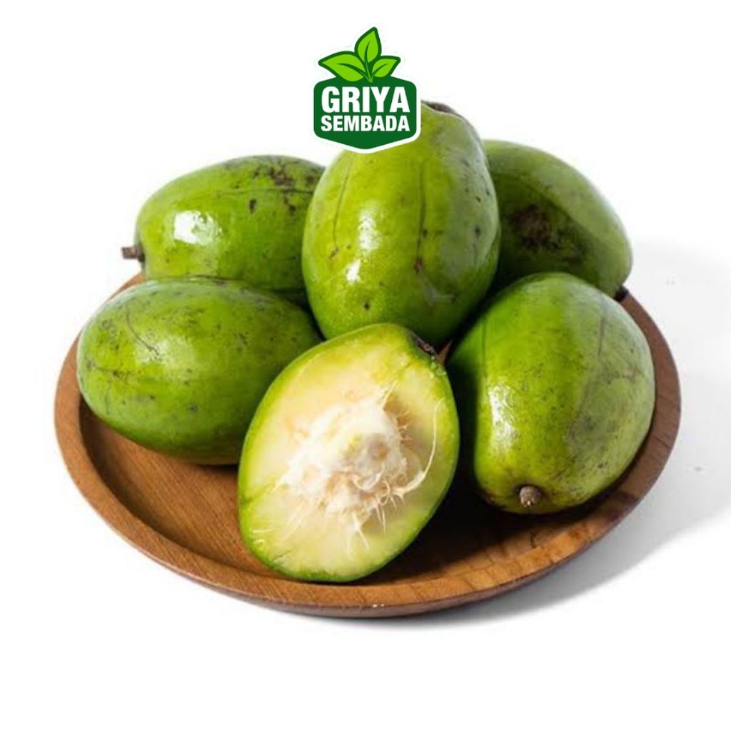 

Instant Buah Kedondong 1kg Segar Tua Mengkal Pohon Griya Sembada/ Semarang Griya Sembada