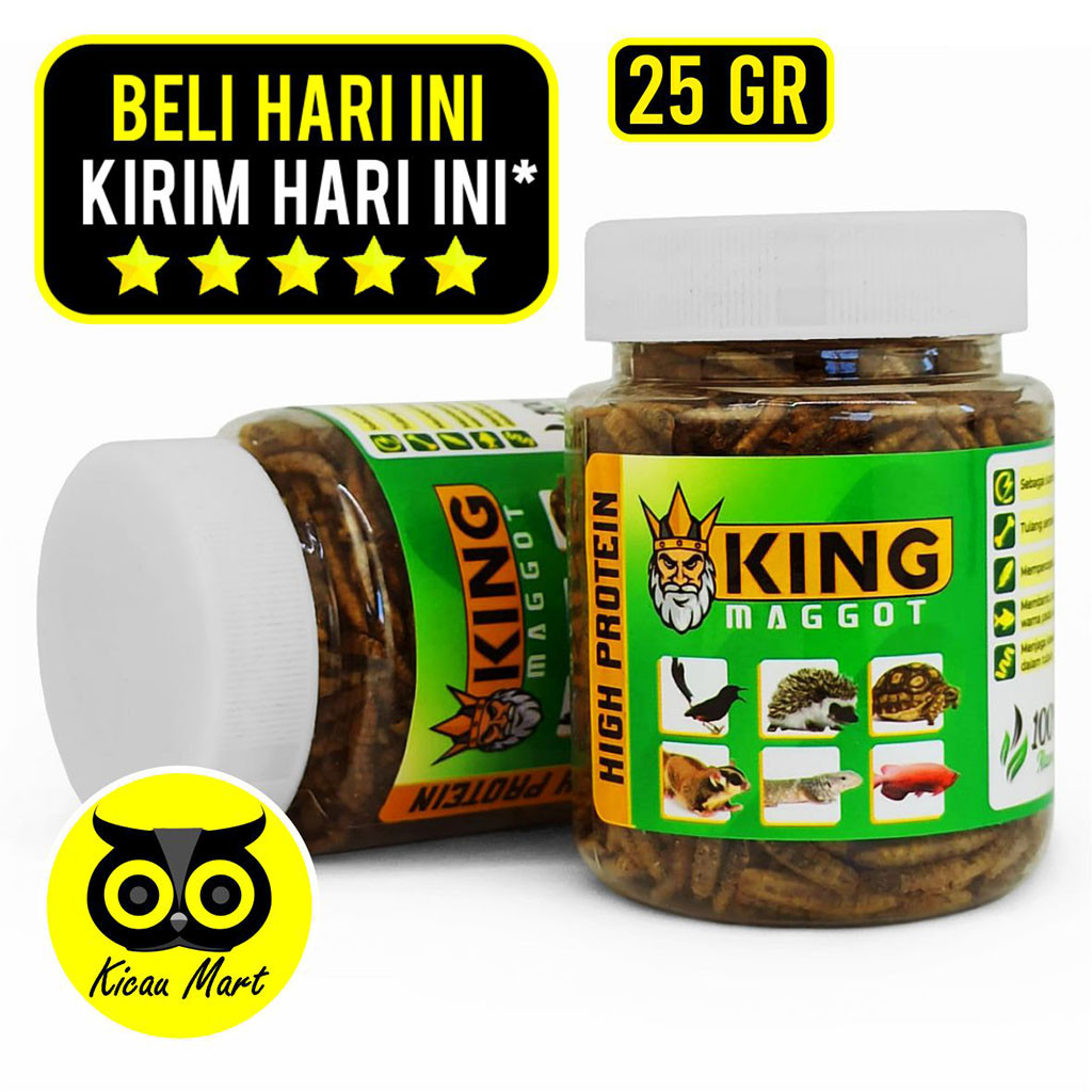 KICAU MART King Maggot Sempati Larva Bsf Super Dry Maggot Kering Pakan Burung Sugar Glider Kura Kura