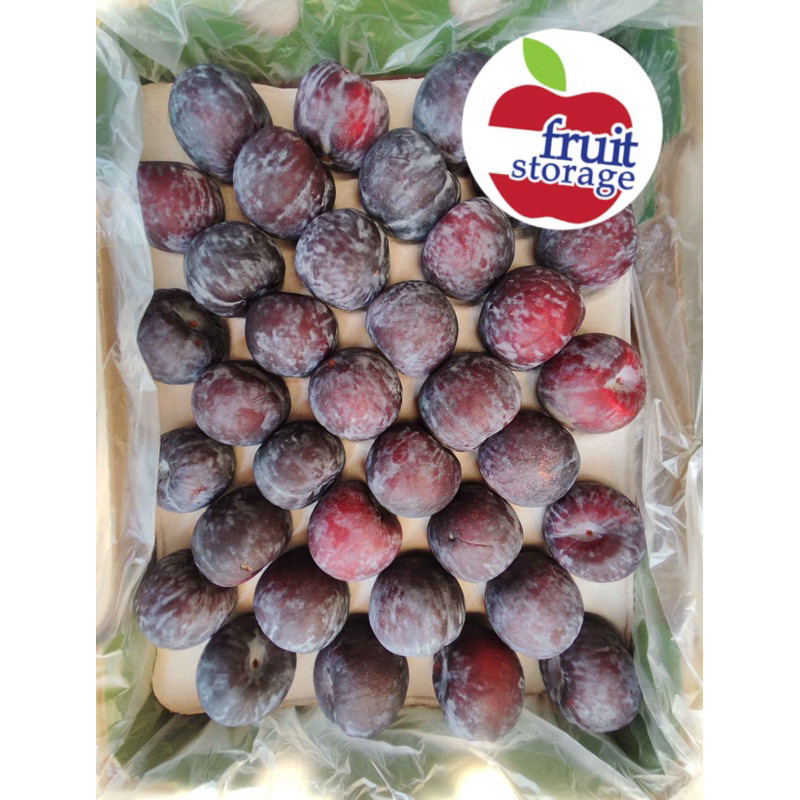 

Plum Fresh Import Australia buah segar plum Amerika impor pixie USA