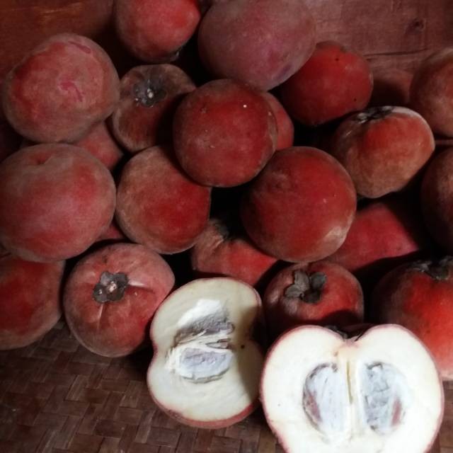 

Buah segar Bisbul Buah Mentega LANGKA