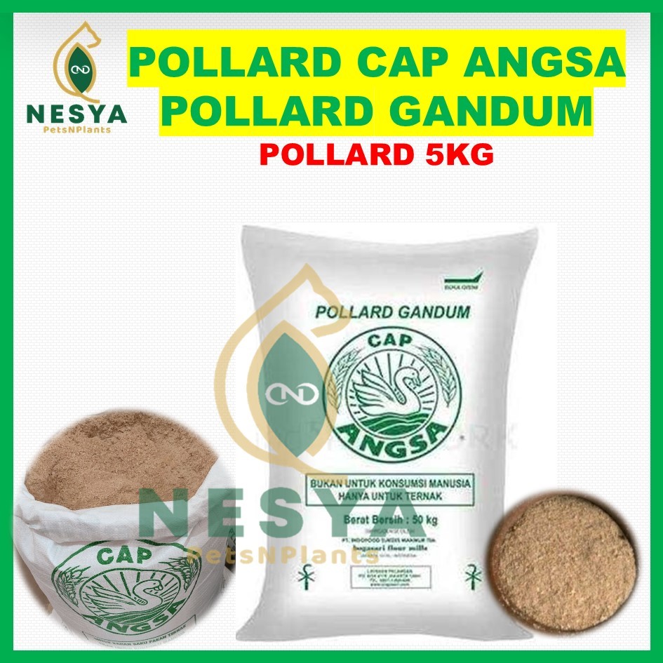 Pollard 5 kg Cap Angsa Bogasari Kemasan 5 kg Polar Makanan Ternak Pakan Ternak