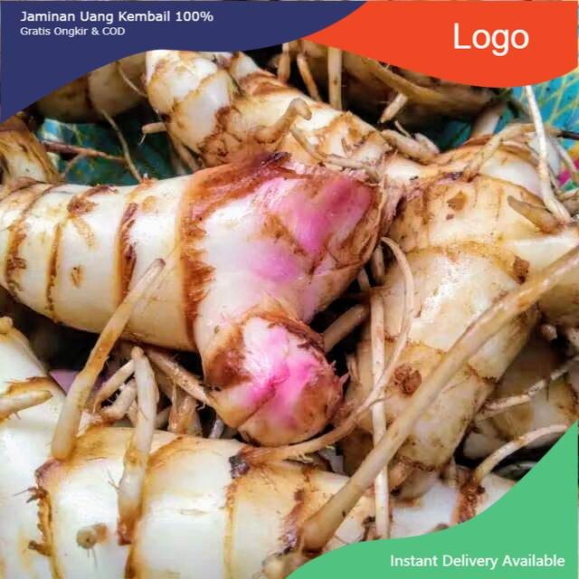 

umbi ganyong merah 1kg