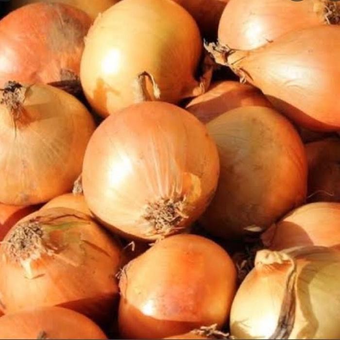 Bawang Bombay 1 kg