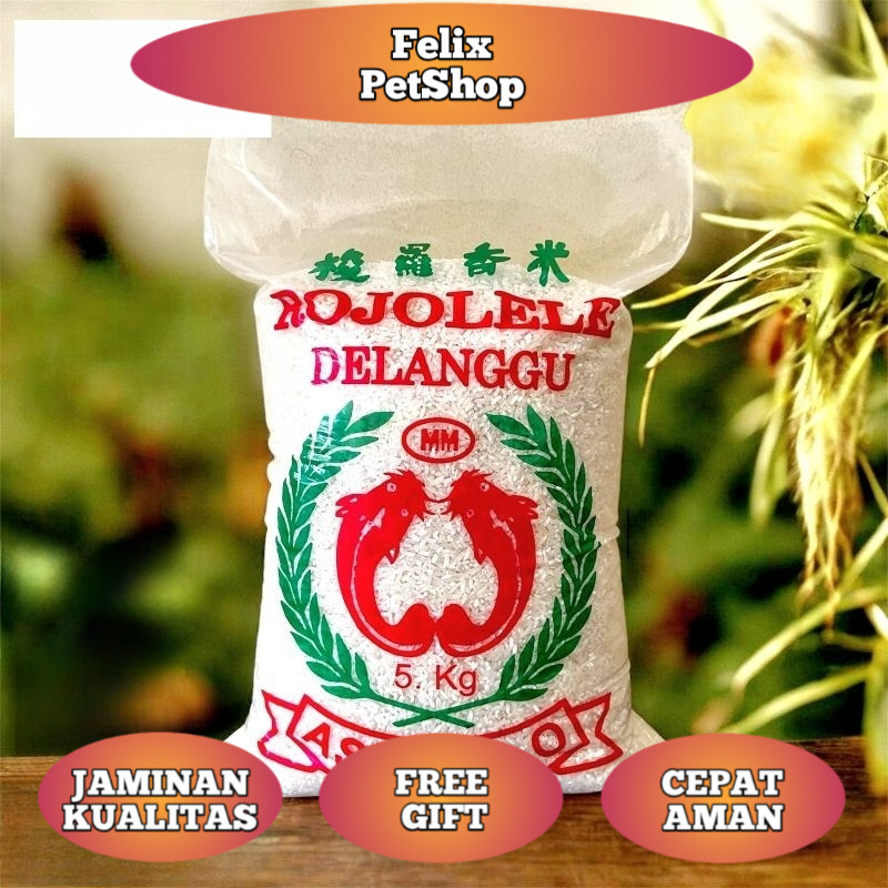 Beras Rojolele Delanggu 5KG