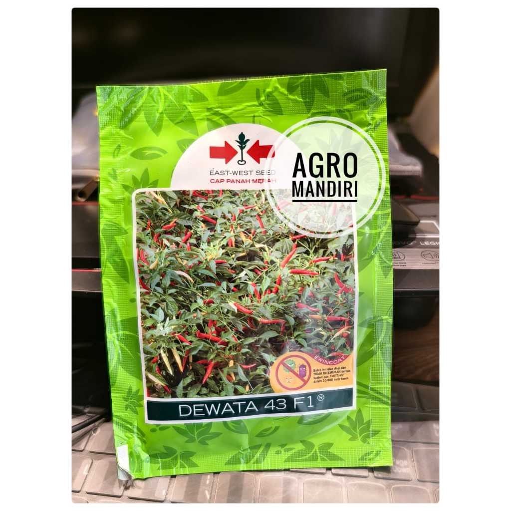 Benih Cabai Rawit Dewata 43 F1 Isi 2250 Biji Bibit Cabe Cap Panah Merah Kemasan Original Pabrik Sura