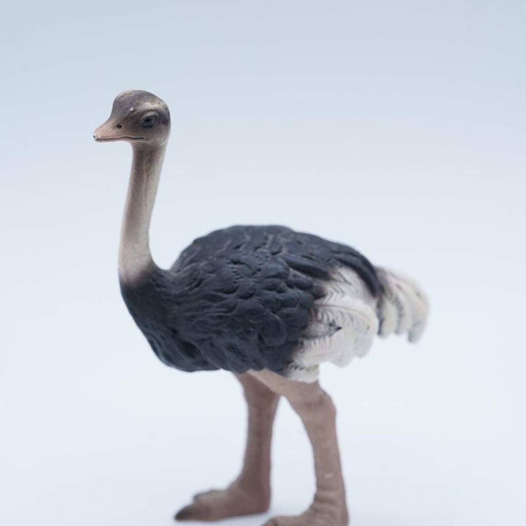 Schleich Ostrich Burung Unta Bird Baby Mainan Animal Figure Binatang Miniature Edukasi Anak Hewan Fi