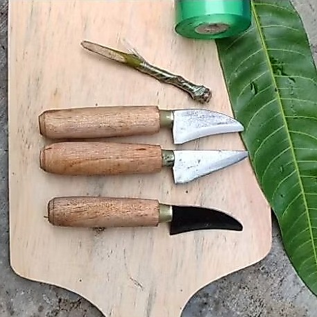 pisau grafting, pisau serut bambu, pisau sambung pucuk, pisau layangan, pisau stek, pisau sisik, pis