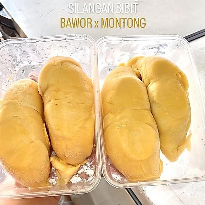 DURIAN BAWOR PREMIUM / DURIAN KING BAWOR KUPAS