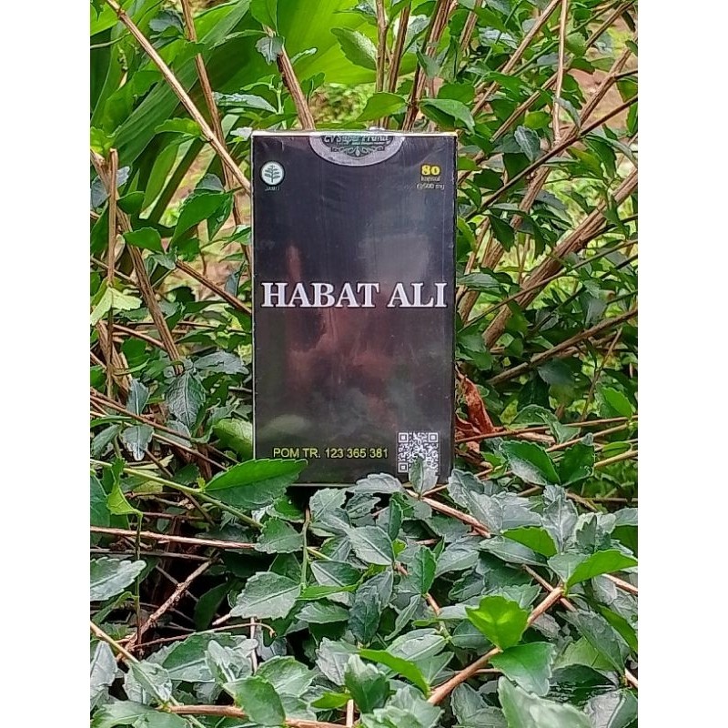 

JAMU_KAPSUL_HABAT_ALI